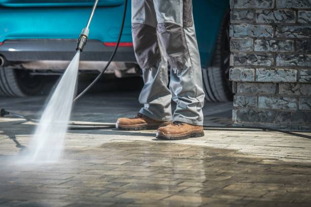 Best Pool Deck Cleaning  in La Blanca, TX